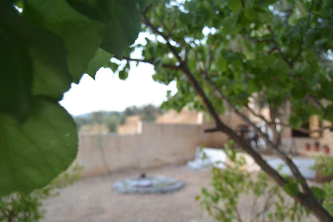 Our Villa'S Private Apartments - Hq Budget Stay - Wonderful Horizon View Of Jerash Γέρασα Εξωτερικό φωτογραφία